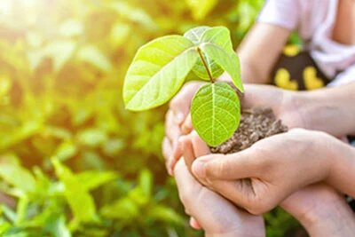 Corporate social responsibility initiative